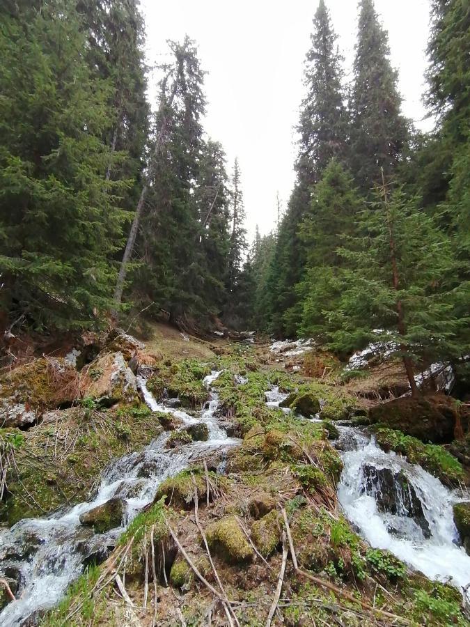 Petkovi Аpartments, Borovets Gardens - One-Bedroom And Two-Bedroom Apartments Eksteriør bilde