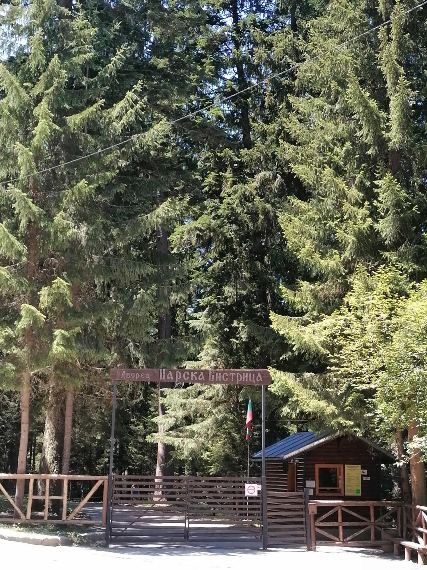Petkovi Аpartments, Borovets Gardens - One-Bedroom And Two-Bedroom Apartments Eksteriør bilde